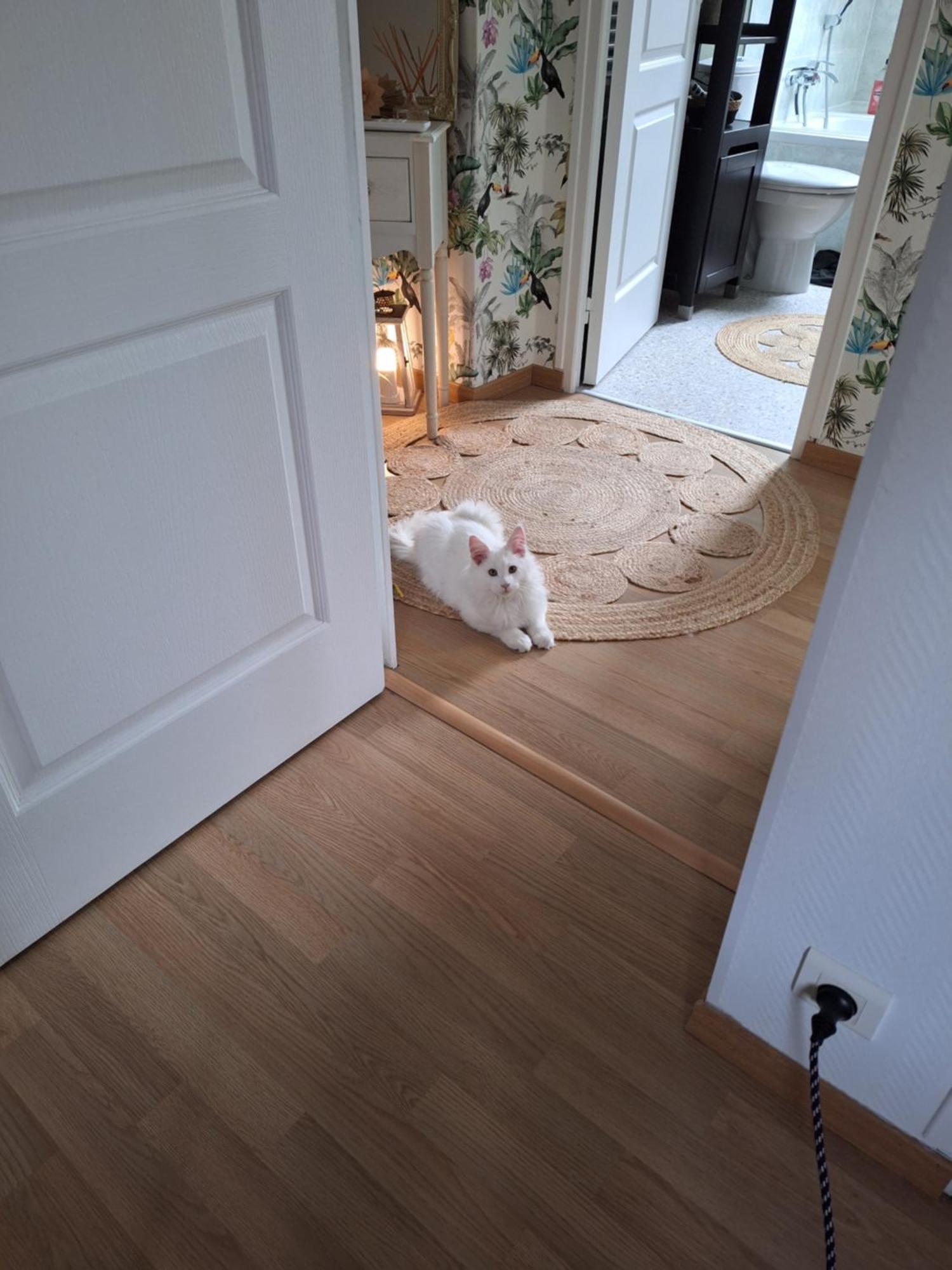 Chambre Climatisee Au Coeur De Brive Avec Televiseur Connecte Wifi Netflix 外观 照片